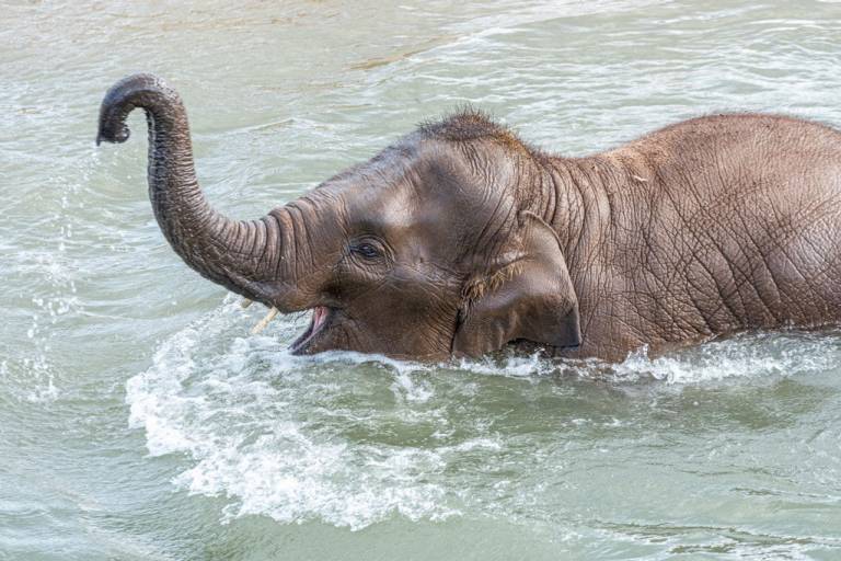 it-s-all-systems-go-for-march-madness-at-blackpool-zoo-blackpool-zoo